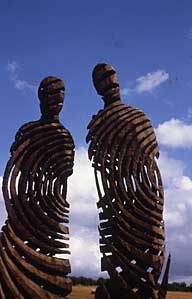 'Harvest figures' Beech - 1994